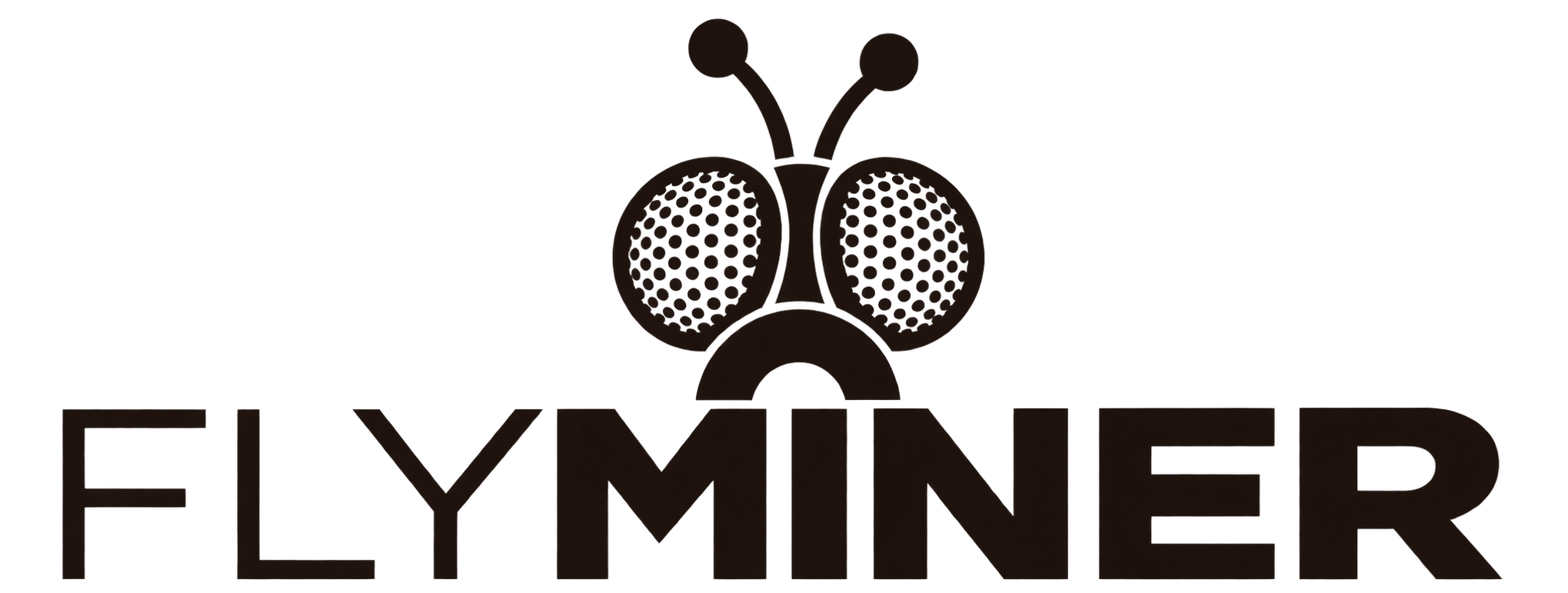 Flyminer